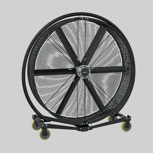 AIRVAN P IMG