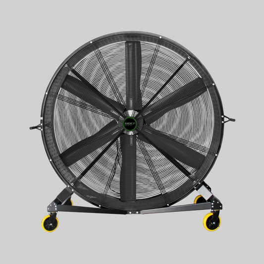 AIRVAN XL IMG