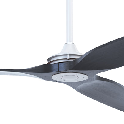 BOREAS DETALLE MOTOR BLANCO BLACK 4K