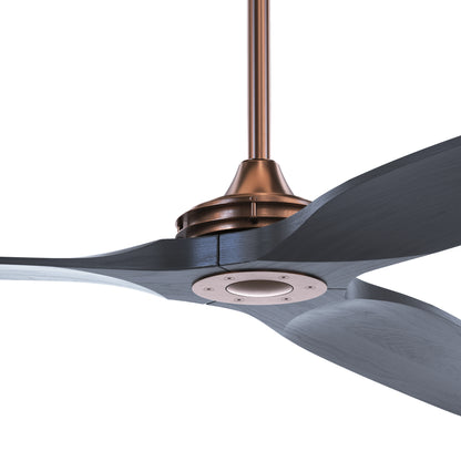 BOREAS DETALLE MOTOR BROCE BLACK 4K