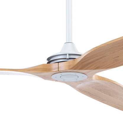 BOREAS DETALLE MOTOR BLANCO LIGHTWOOD 4K