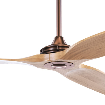 BOREAS DETALLE MOTOR BRONCE LIGHTWOOD 4K